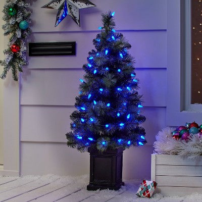  60ct LED C6 Faceted Christmas String Lights With Green Wire - Wondershop™