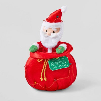 13" Santa In Bag Decorative Figurine - Wondershop™
